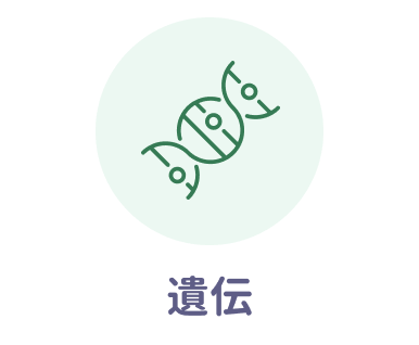 遺伝