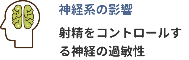 神経系の影響　射精をコントロールする神経の過敏性