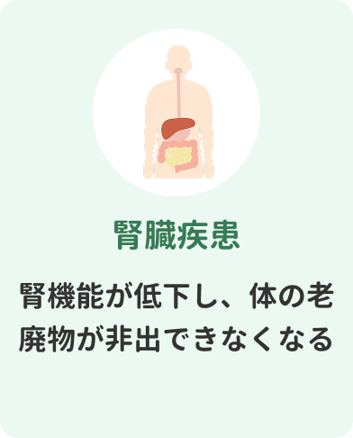腎臓疾患　腎機能が低下し、体の老廃物が非出できなくなる