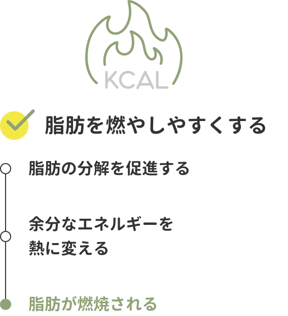脂肪を燃やしやすくする　脂肪の分解を促進する→余分なエネルギーを熱に変える→脂肪が燃焼される
